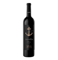Rượu Vang Argentina Aduentus Classic 